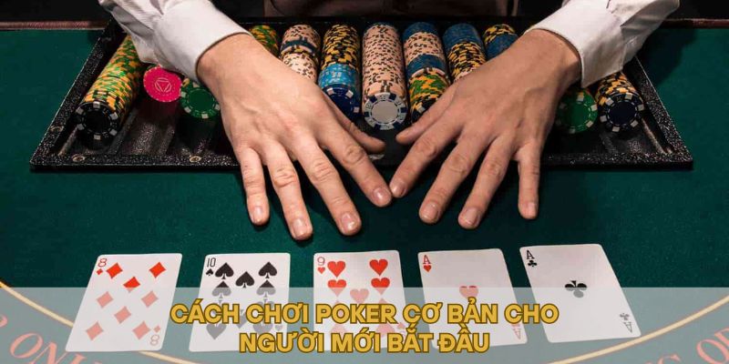Cách chơi cơ bản cho người mới bắt đầu