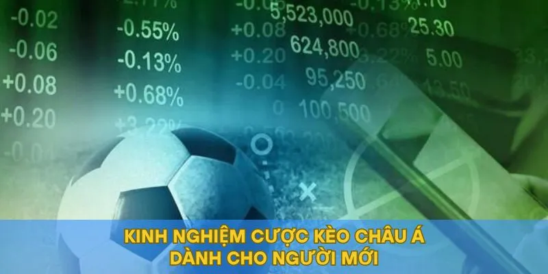 Kinh nghiệm cược kèo châu Á dành cho người mới