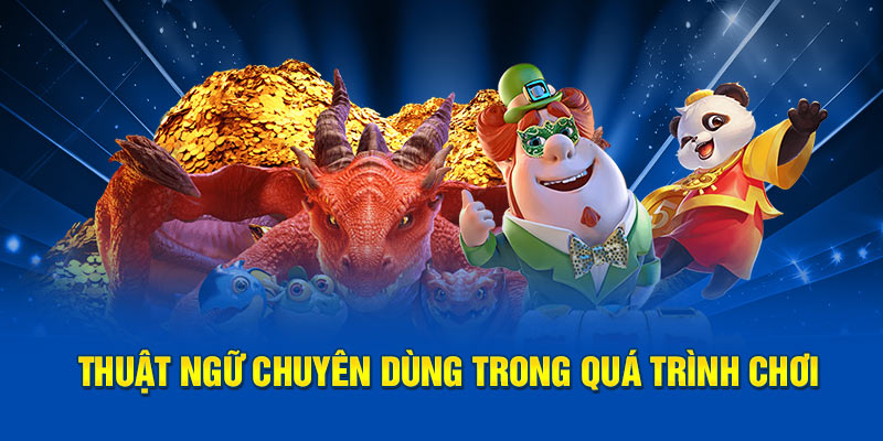 Thuật ngữ chuyên dùng trong quá trình chơi