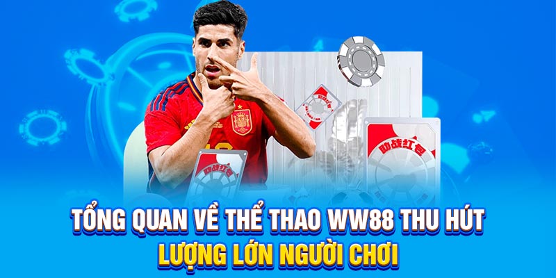 Tổng quan về thể thao WW88 thu hút lượng lớn người chơi