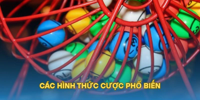 Các hình thức cược phổ biến