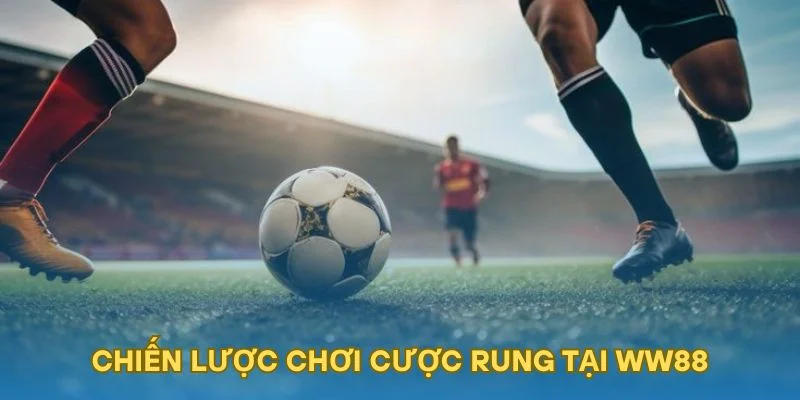 Chiến lược chơi cược rung tại WW88