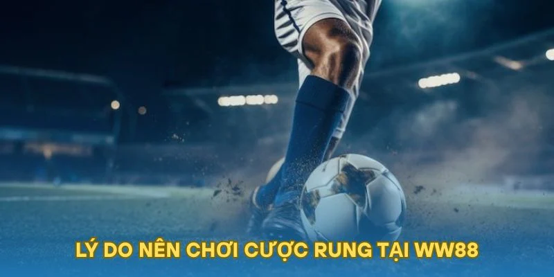 Lý do nên chơi cược rung tại WW88