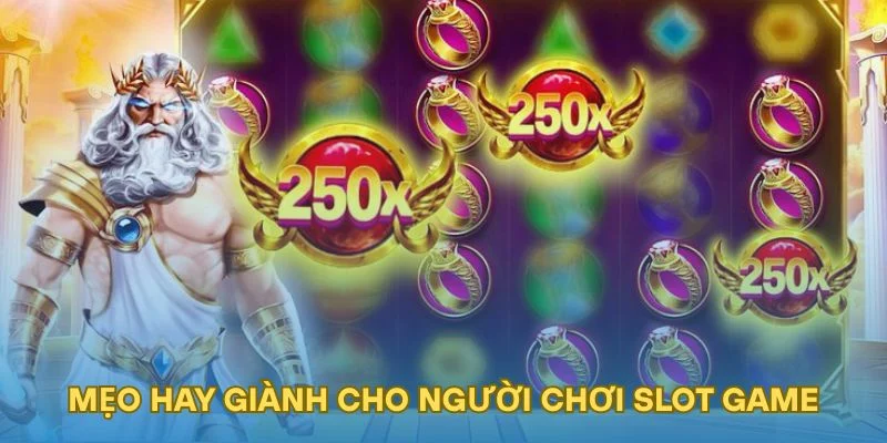 Mẹo hay giành cho người chơi slot game